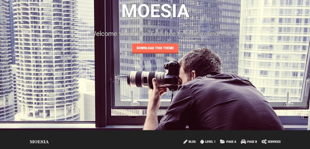 Moesia WordPress theme