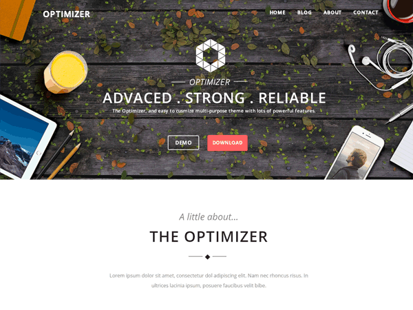 Optimizer WordPress Theme
