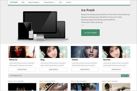 Ice Fresh WordPress Theme