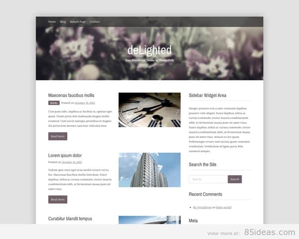 deLighted A free WordPress Theme from ThemeShift