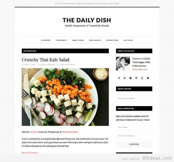 daily-dish-genesis-theme