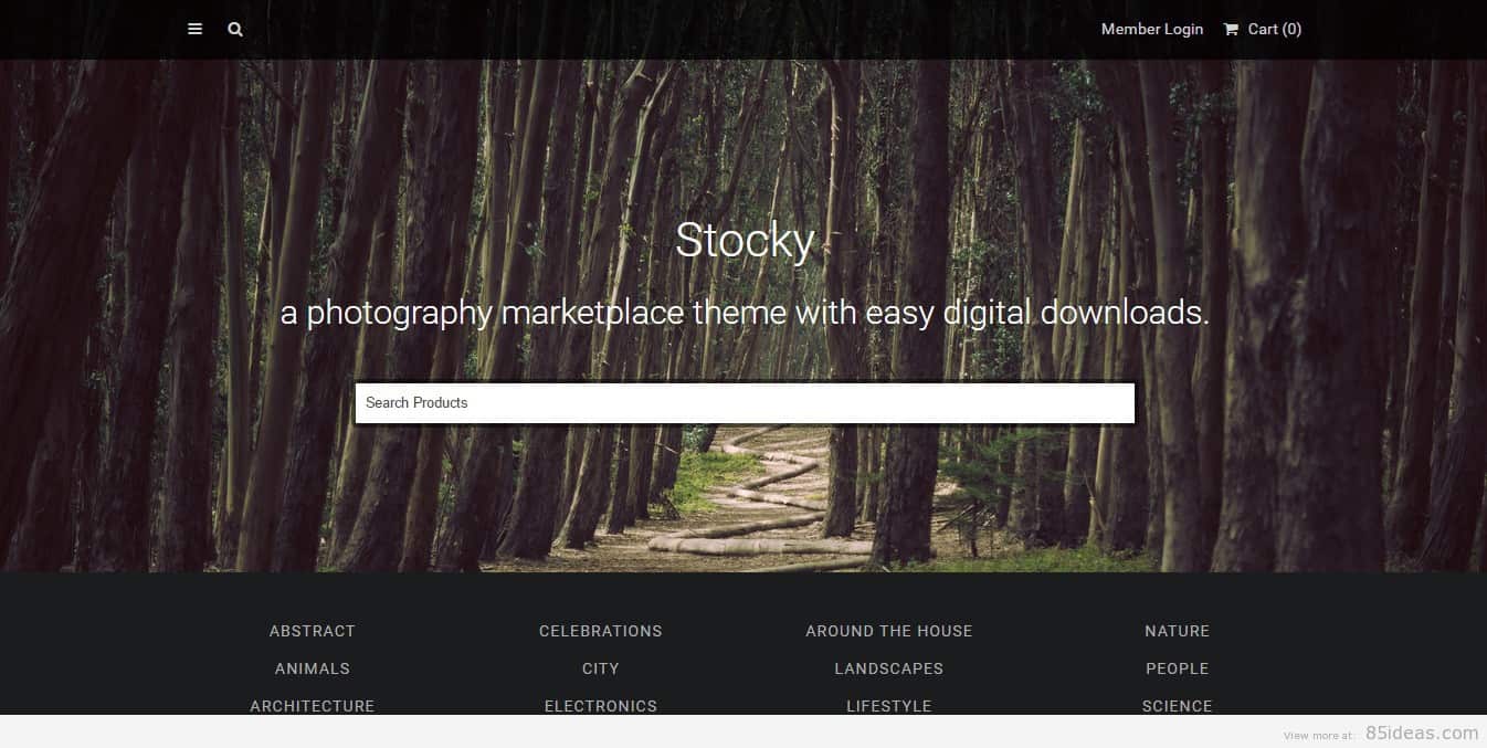 WordPress Themes for Stock Photos