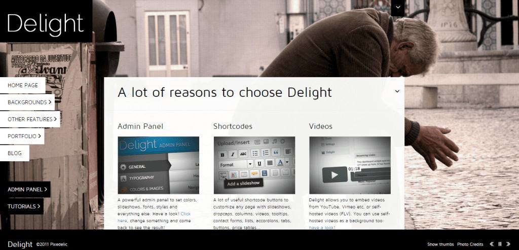 Delight premium WordPress theme