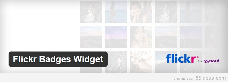 Flickr Badges Widget Plugin