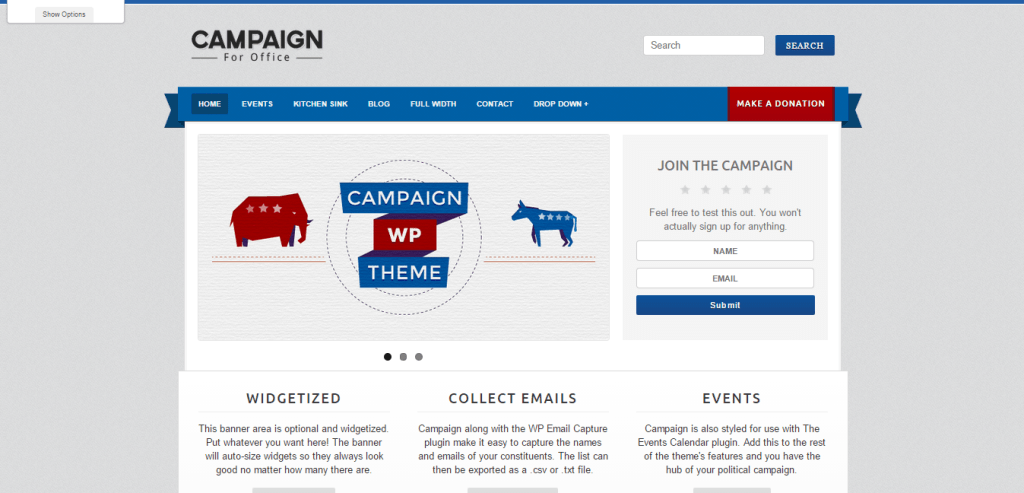 Campaign Political WordPress Theme
