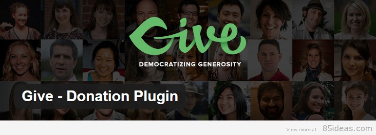 Give Donation Plugin