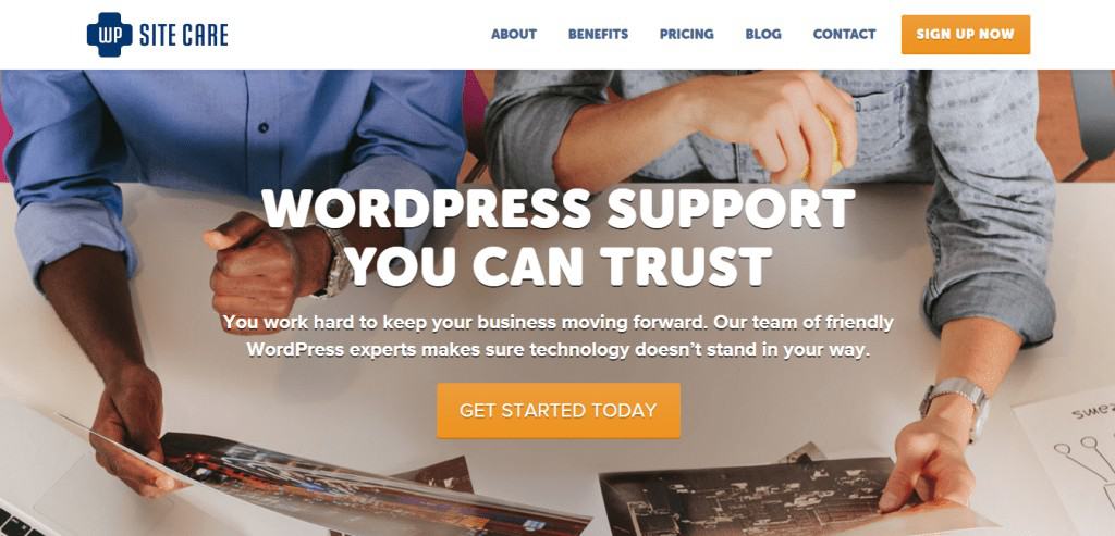 WordPress Services WP site care