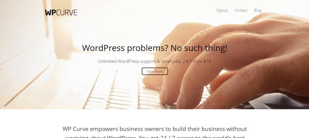 WordPress Support WPCurve