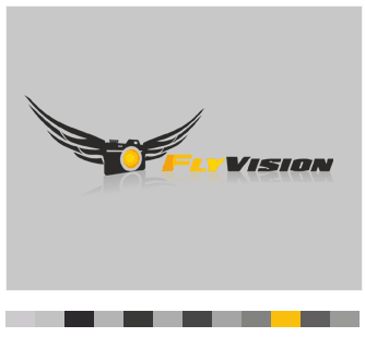 Fly vision Logo
