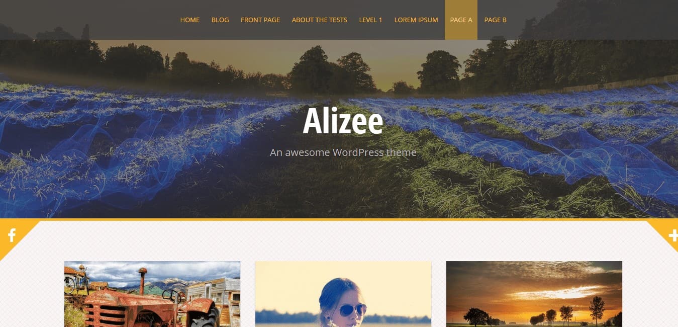 Alizee WordPress theme