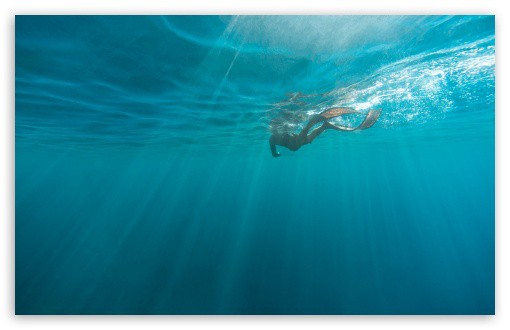 Under water diver Wallpaper