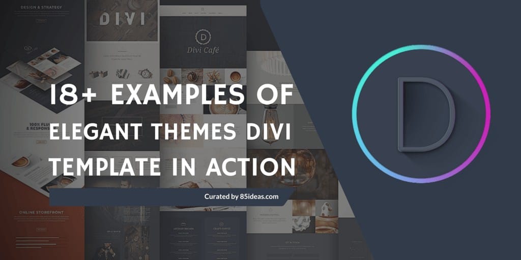 divi wordpress theme examples