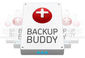 backup buddy copy site to subfolder