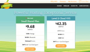 Homegrown-Website-Hosting-Fast-Reliable-Web-Hosting