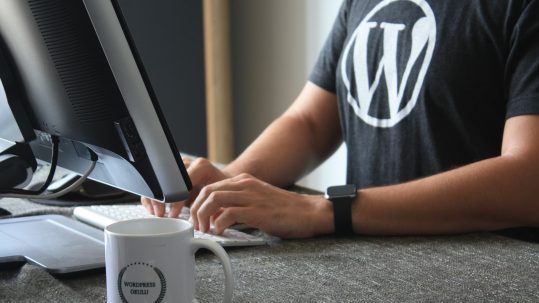 Man in WordPress shirt